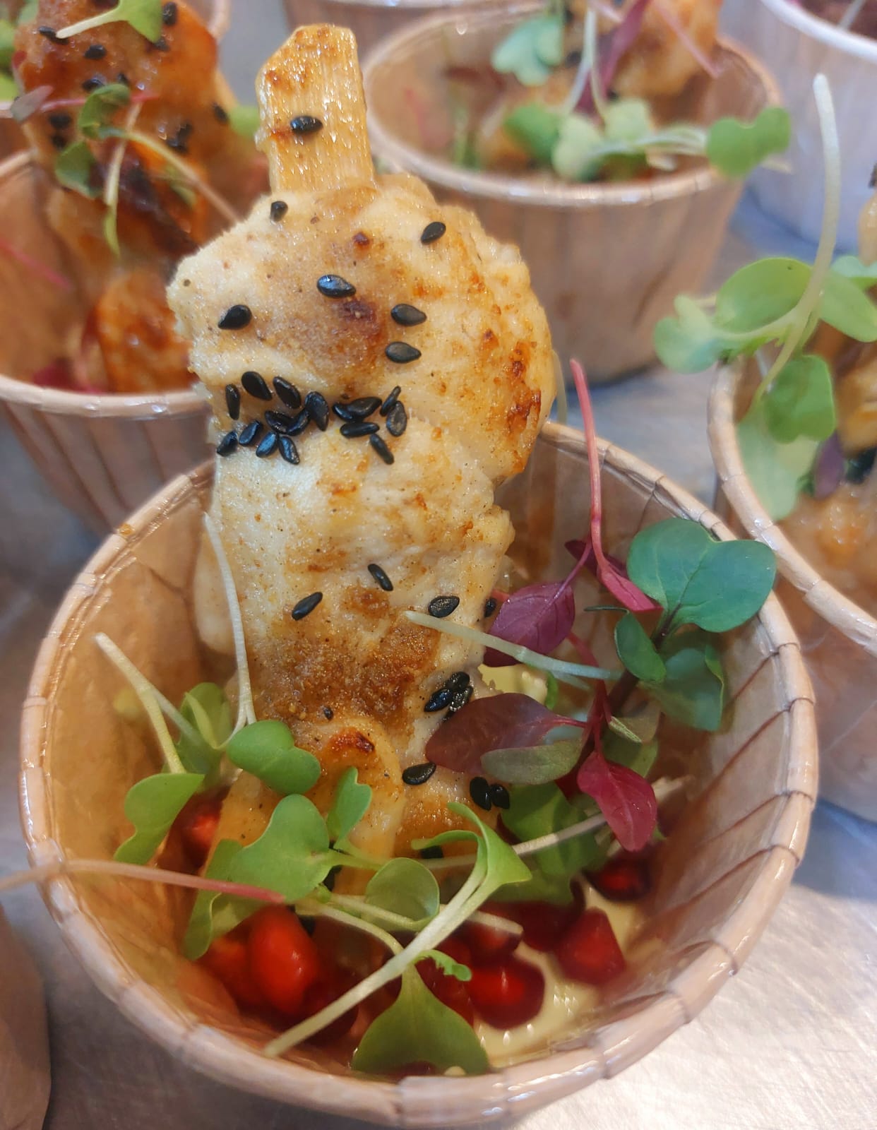 Canapes Meat & Chicken per dozen (12)