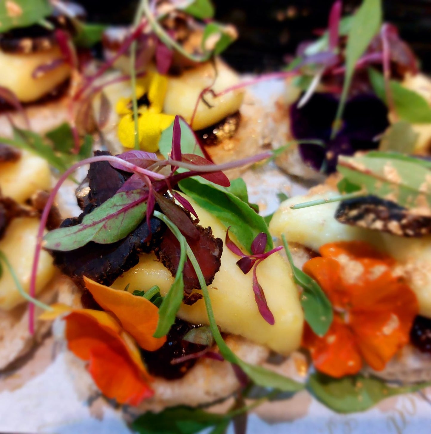 Canapes Meat & Chicken per dozen (12)